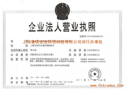 上海網(wǎng)絡(luò)技術(shù)服務(wù)營(yíng)業(yè)執(zhí)照 申請(qǐng)要點(diǎn)與運(yùn)營(yíng)指南
